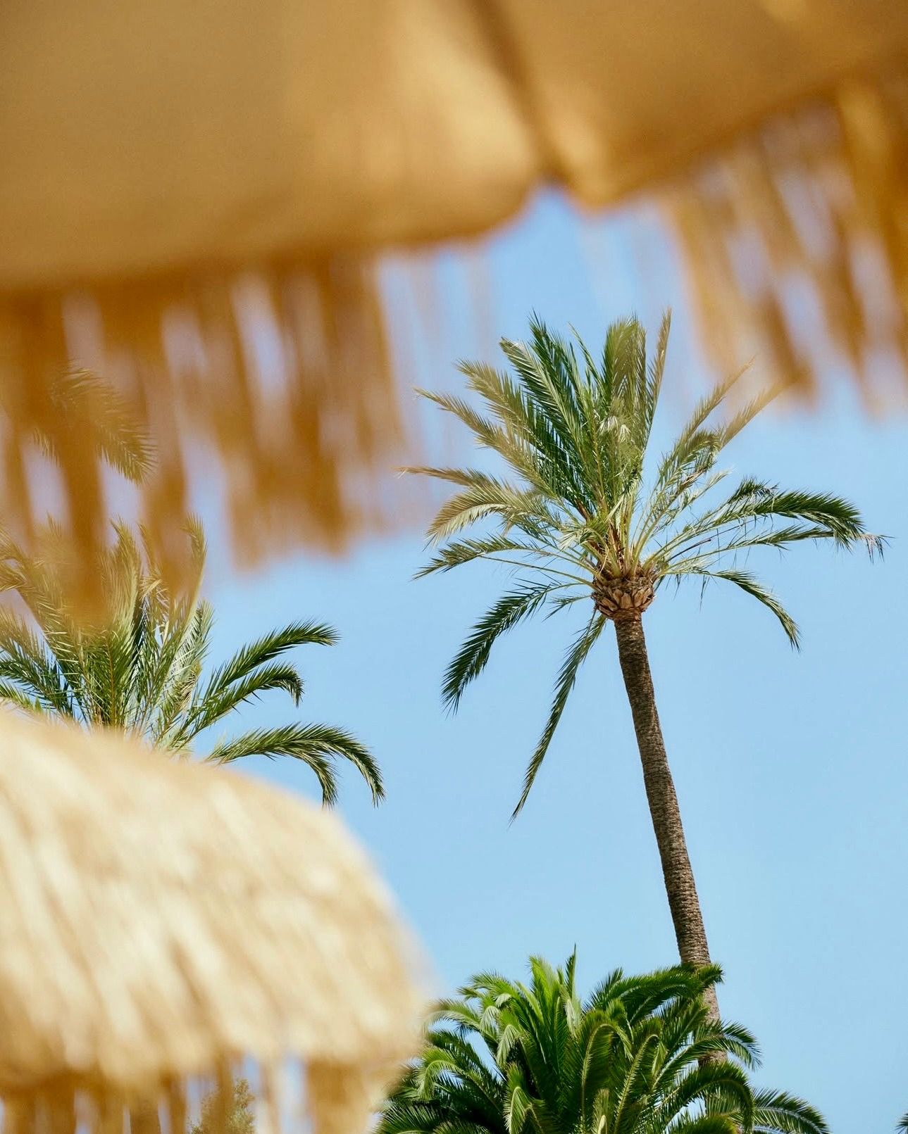Our Personal Beachclub Tip For You: @besobeachmallorca ... CAJOY 🇪🇸🏖